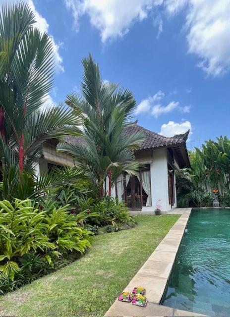 Villa Exotica Ουμπούντ Εξωτερικό φωτογραφία